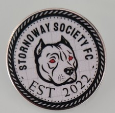 Stornoway society pin for sale  CLYDEBANK