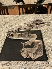 Lot big cat for sale  Northport