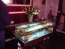 Solid glass fish for sale  LONDON