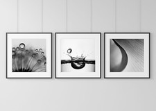 Stampe bianco nero usato Stampe bianco nero usato  Nocera Superiore