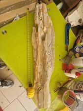 Legno fossile sui usato  Domodossola