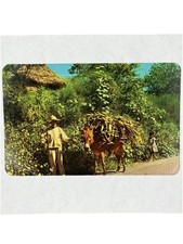 1966 postcard mexico for sale  Franklin