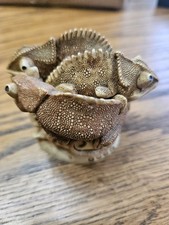 Harmony kingdom trinket for sale  Dearborn Heights