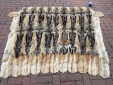 Vint taxidermy african for sale  HEREFORD
