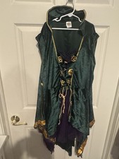 Spirit halloween disney for sale  USA