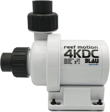 Reef motion 4kdc usato  Roma