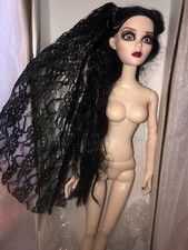 Evangeline noche evangeline for sale  Longview