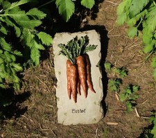 Orange carrots clay for sale  Farmington