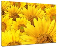 Quadro moderno fiori usato  Monopoli