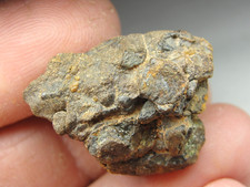Nwa 7920 pallasite for sale  Hebron