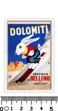 Calamita belluno sport usato  Italia