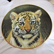 Huge choioce collector for sale  CWMBRAN