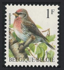 Redpoll bird sizerin d'occasion  Expédié en Belgium