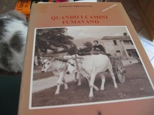 Quando camini fumavano usato  Torino