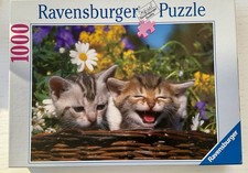 Puzzle 1000 teile gebraucht kaufen  Wesselburen
