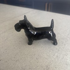 Scottish terrier scotty for sale  STOCKTON-ON-TEES
