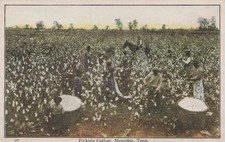 Black americana postcard for sale  Tulsa