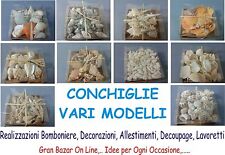 Conchiglie confezione vari usato  Nola
