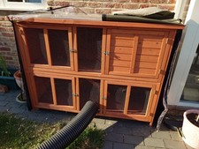 Rabbit guinea pig for sale  CRANBROOK