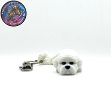 Bichon frise dog for sale  Las Vegas
