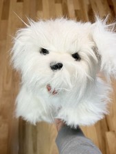 toy dog maltese walking for sale  Buffalo