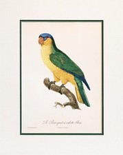 1960s french bird for sale  Stowe