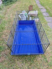 Extra large rabbit for sale  MORDEN
