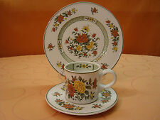 Villeroy boch summerday gebraucht kaufen  Pfaffenhofen a.d.Ilm