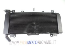 Radiatore raffreddamento liqui usato  Villa Castelli
