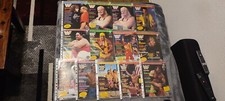 Wwe wwf wrestling gebraucht kaufen  Lübeck
