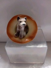 Lovely little dog for sale  CARLISLE