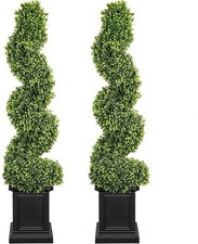 spiral topiary tree for sale spiral topiary tree for sale SALFORD