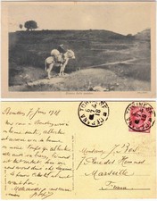 delleani usato delleani usato  Italia