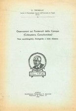 Osservazioni sui punteruoli usato  Italia