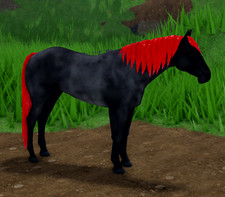 Usado, Casaco raro azul Roan rubi quarto qh IUH WHI ilhas cavalos selvagens comprar usado  Enviando para Brazil