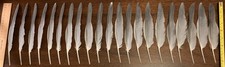 Domestic bird feathers for sale  Independence