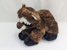 Aurora brown raccoon for sale  Afton