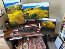 Dual dell monitor for sale  Cottonwood