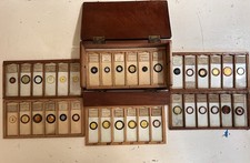 Cased group antique for sale  LANCING