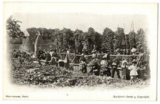Postcard hop picking for sale  SUTTON COLDFIELD