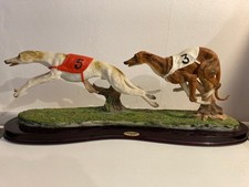 Greyhound dogs racing for sale  REDCAR