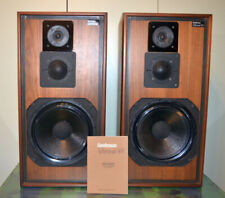 Goodmans achromat 400 usato  Modena