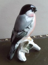 Karl ens oiseau d'occasion  Elven
