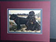 Matted print black for sale  Centuria