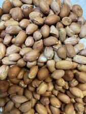 Amendoim 25kg aves selvagens qualidade PREMIUM sem aflatoxinas - ENTREGA GRATUITA -, usado comprar usado  Enviando para Brazil