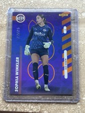 Panini google pixel gebraucht kaufen  Königswinter