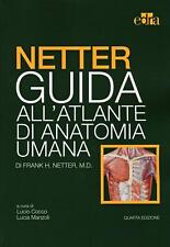 Netter guida all usato  Sesto San Giovanni