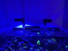 Red sea led for sale  WELWYN GARDEN CITY