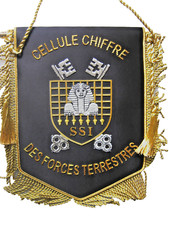 Fanion transmissions ssi d'occasion  Expédié en Belgium