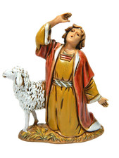 Pastore meravigliato ginocchio usato Pastore meravigliato ginocchio usato  Napoli